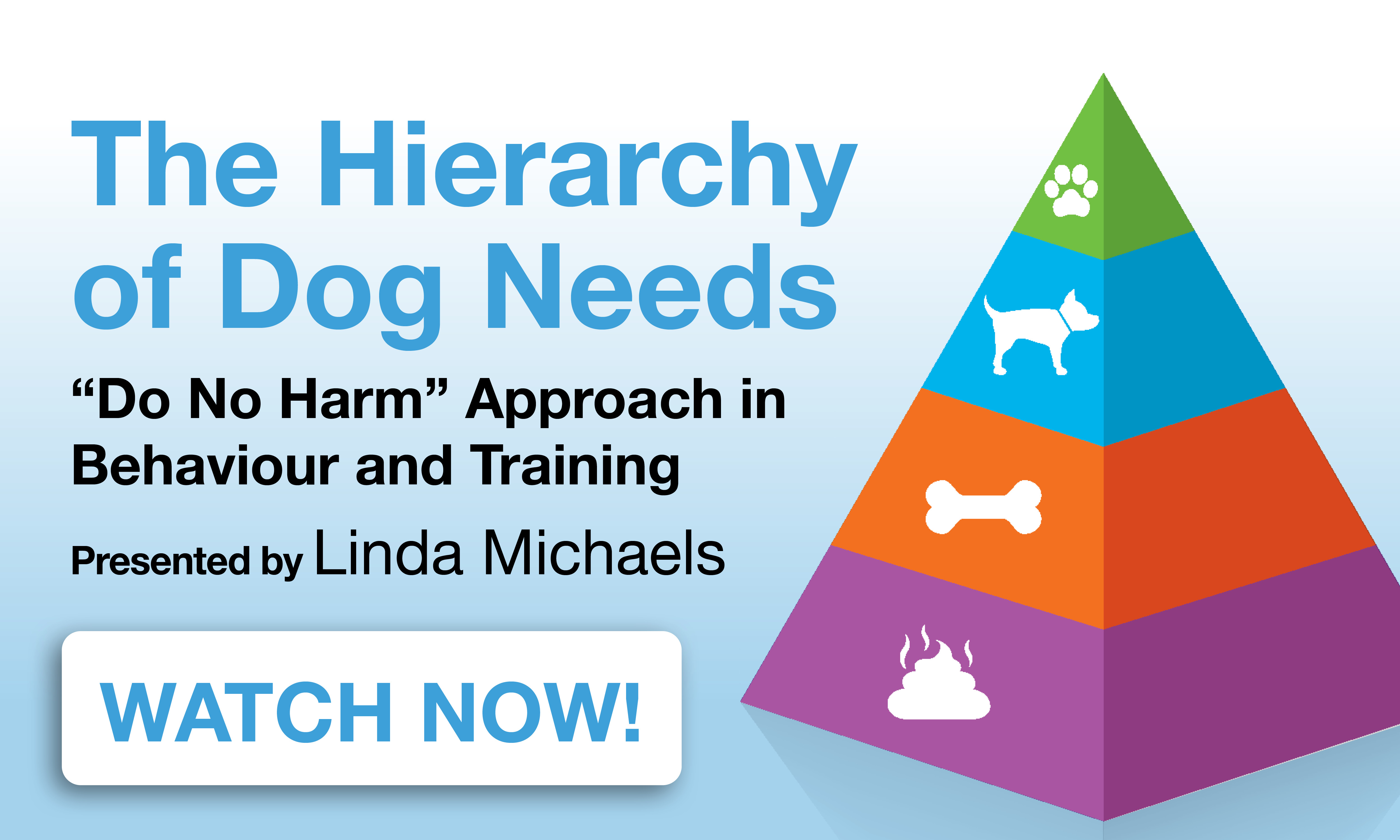 The Hierarchy of Dog Needs APBC