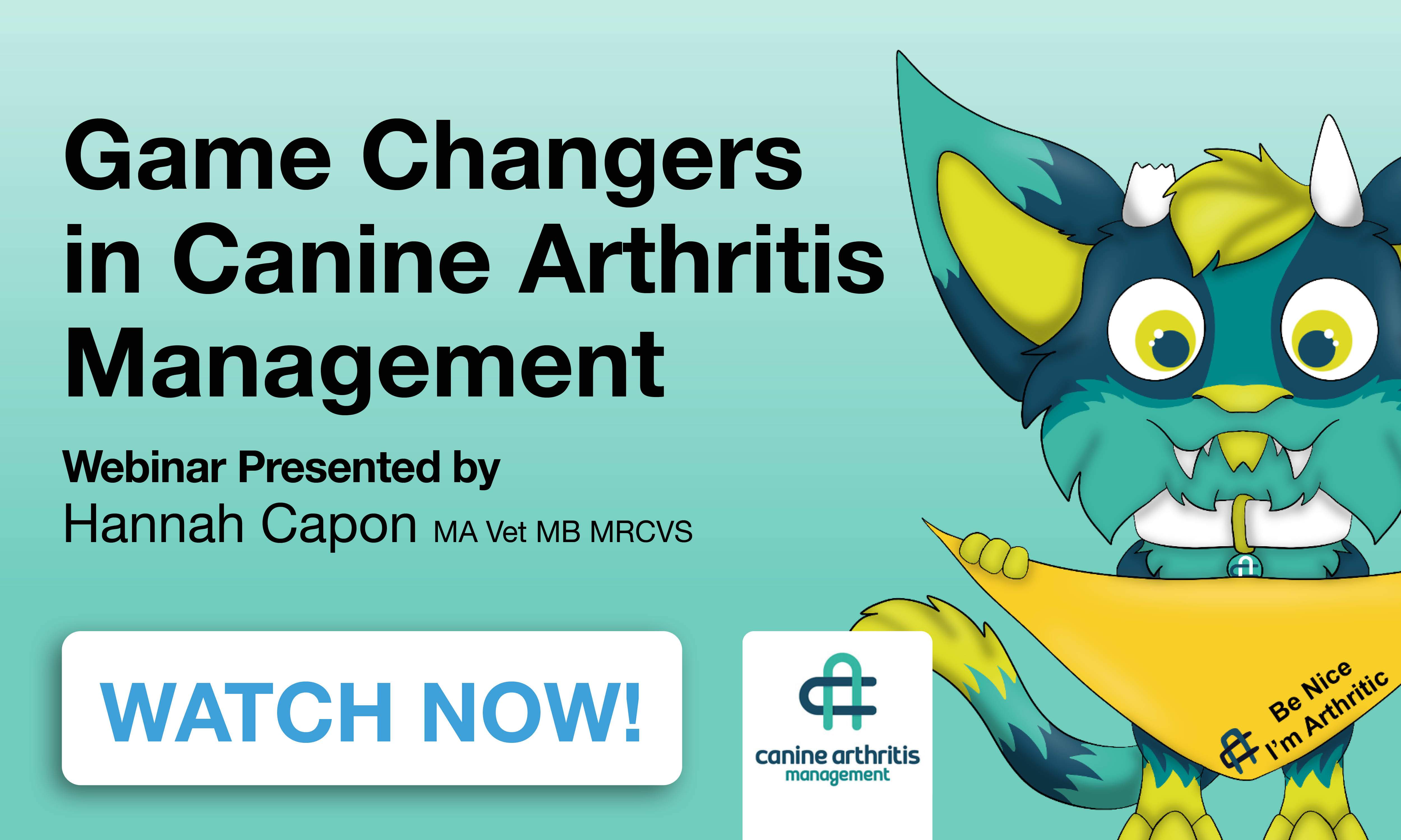 cam canine arthritis management