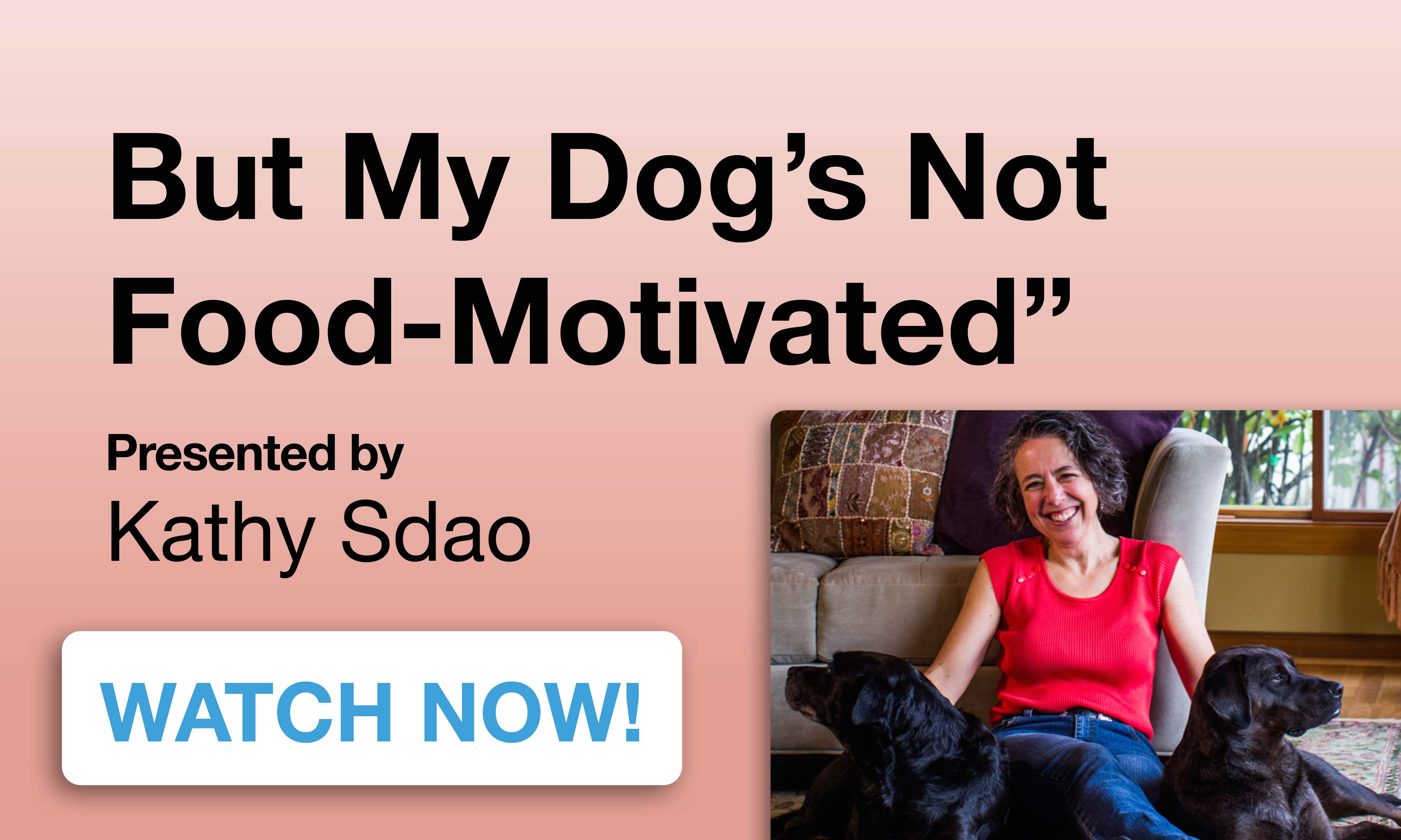 “But My Dog’s Not Food-motivated” - APBC